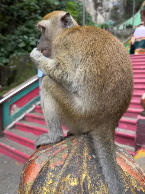 Reiseeindruck aus Kuala Lumpur