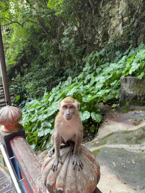 Reiseeindruck aus Kuala Lumpur