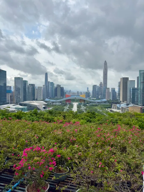 Skyline hinter grünen Pflanzen und rosa Blüten