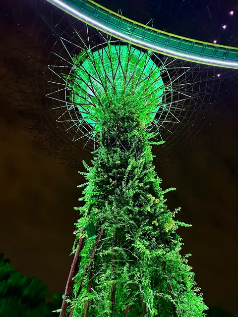 Reiseeindruck aus Singapur