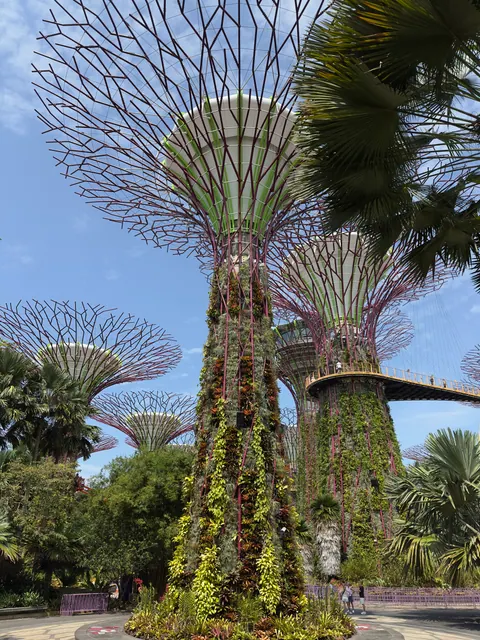 Reiseeindruck aus Singapur