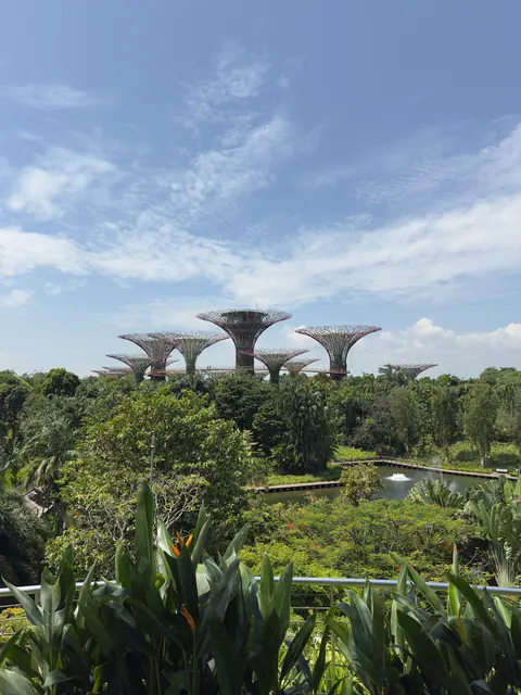 Reiseeindruck aus Singapur