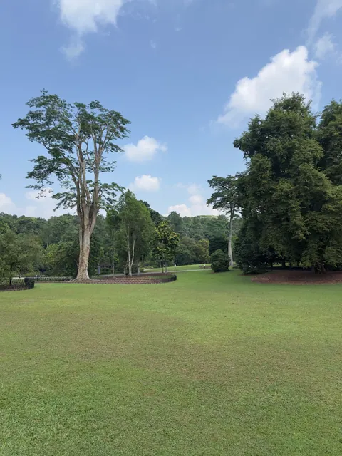 Reiseeindruck aus Singapur