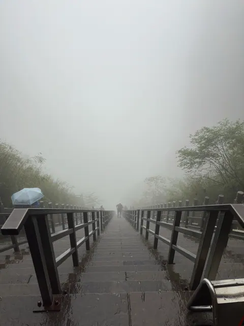 Reiseeindruck aus Zhangjiajie