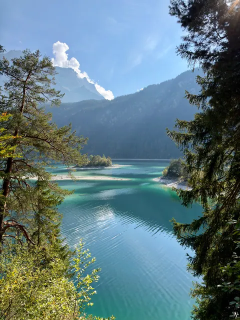 Blick zwischen Bäumen auf das klare Wasser des Eibsees